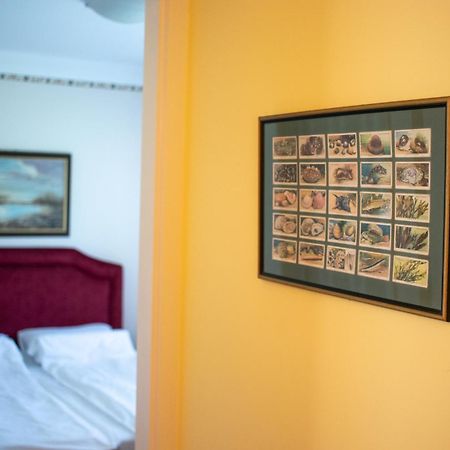 Kiskakas Vendeghaz Appartement Székkutas Buitenkant foto